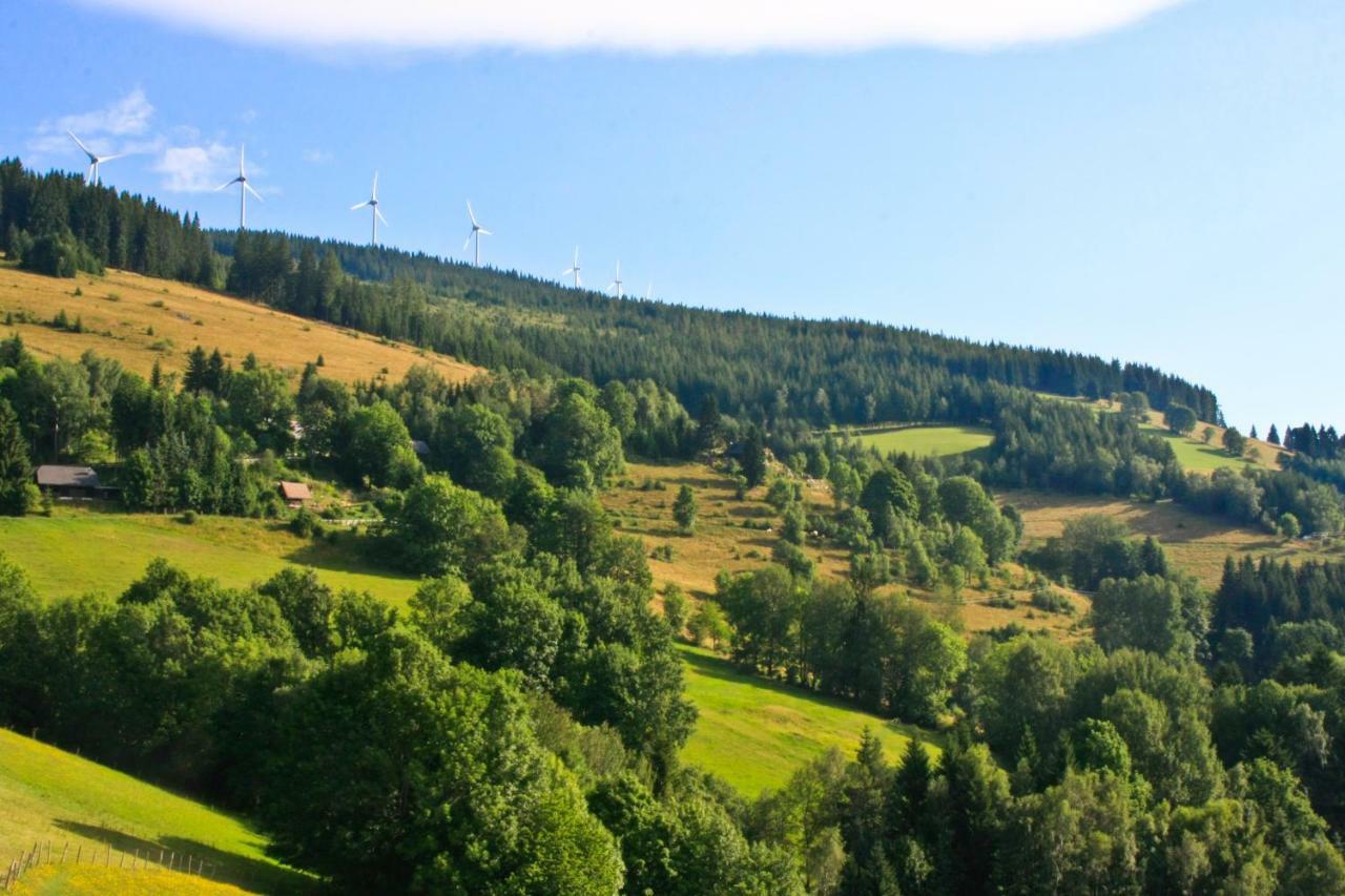 Genussgasthof Willenshofer Sankt Kathrein am Hauenstein Esterno foto